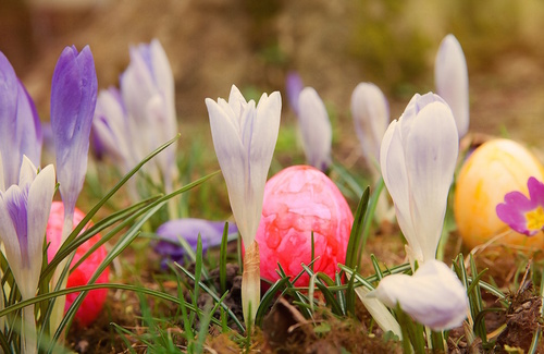 Simbologia e significati della Pasqua nelle diverse culture