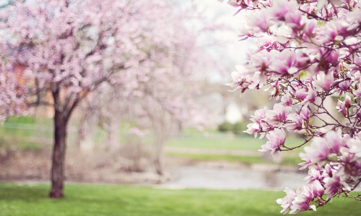 L'equinozio di primavera