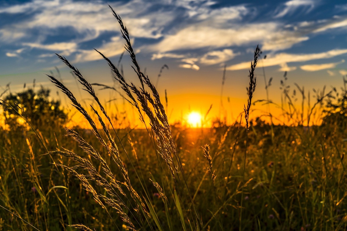 Il fuoco del solstizio d'estate