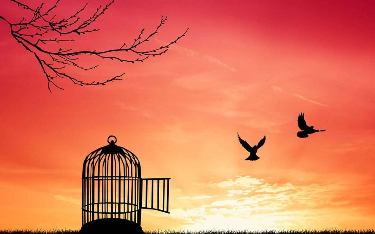 Della paura della libertà